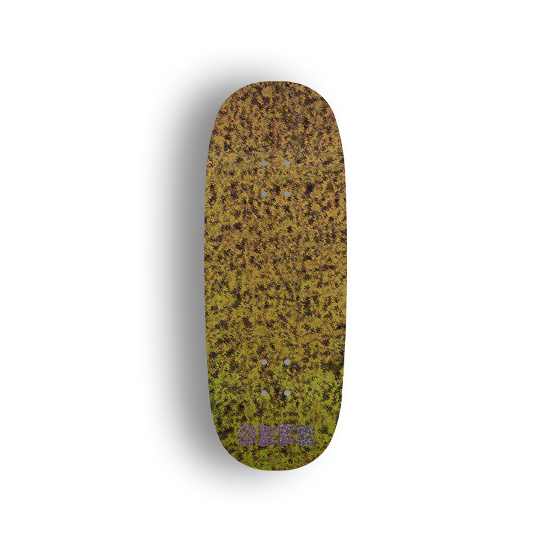 Premium Pro Fingerboard Deck - Retro - OBFB10